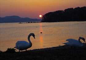 「夕日を浴びて」　外田 優